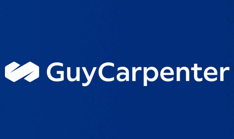 Capital growth and pricing discipline drive stability at mid-year reinsurance renewals: Guy Carpenter